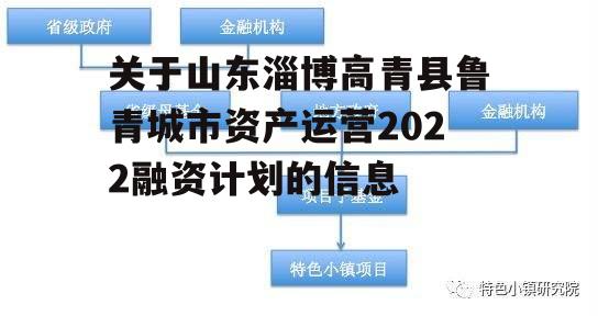 关于山东淄博高青县鲁青城市资产运营2022融资计划的信息