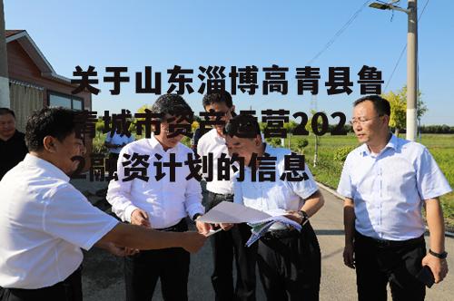 关于山东淄博高青县鲁青城市资产运营2022融资计划的信息