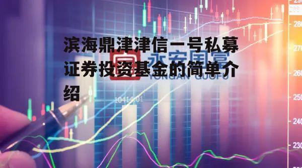 滨海鼎津津信一号私募证券投资基金的简单介绍