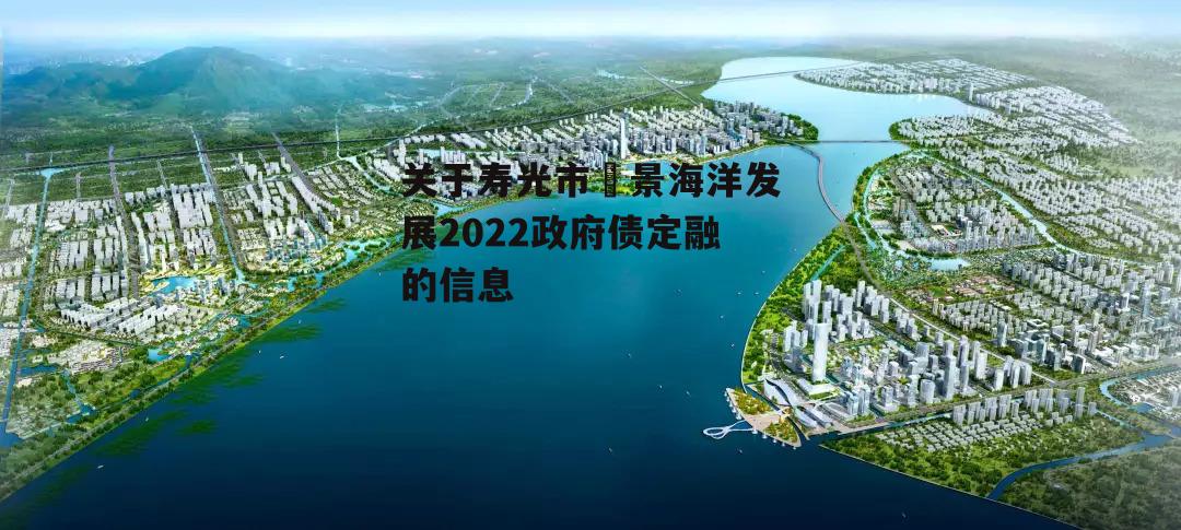 关于寿光市昇景海洋发展2022政府债定融的信息