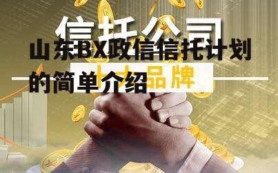 山东BX政信信托计划的简单介绍