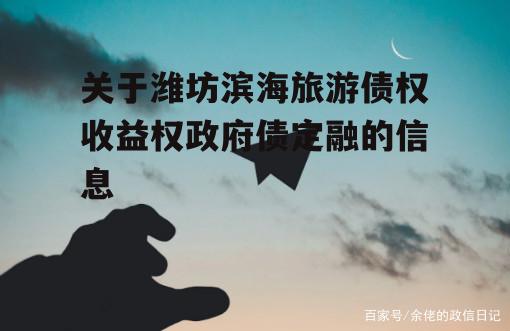 关于潍坊滨海旅游债权收益权政府债定融的信息