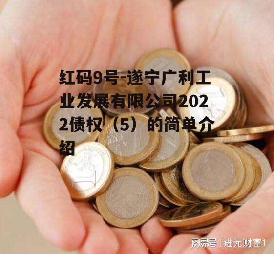 红码9号-遂宁广利工业发展有限公司2022债权（5）的简单介绍