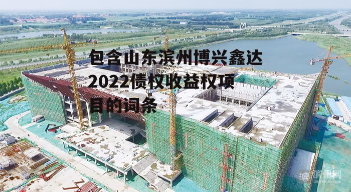 包含山东滨州博兴鑫达2022债权收益权项目的词条