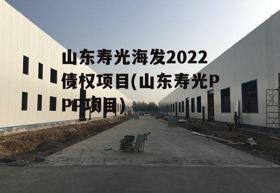 山东寿光海发2022债权项目(山东寿光PPP项目)