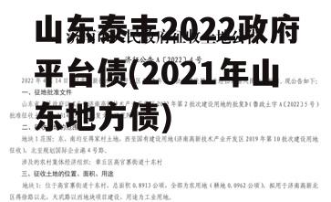 山东泰丰2022政府平台债(2021年山东地方债)