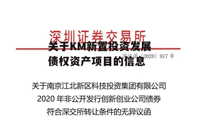 关于KM新置投资发展债权资产项目的信息