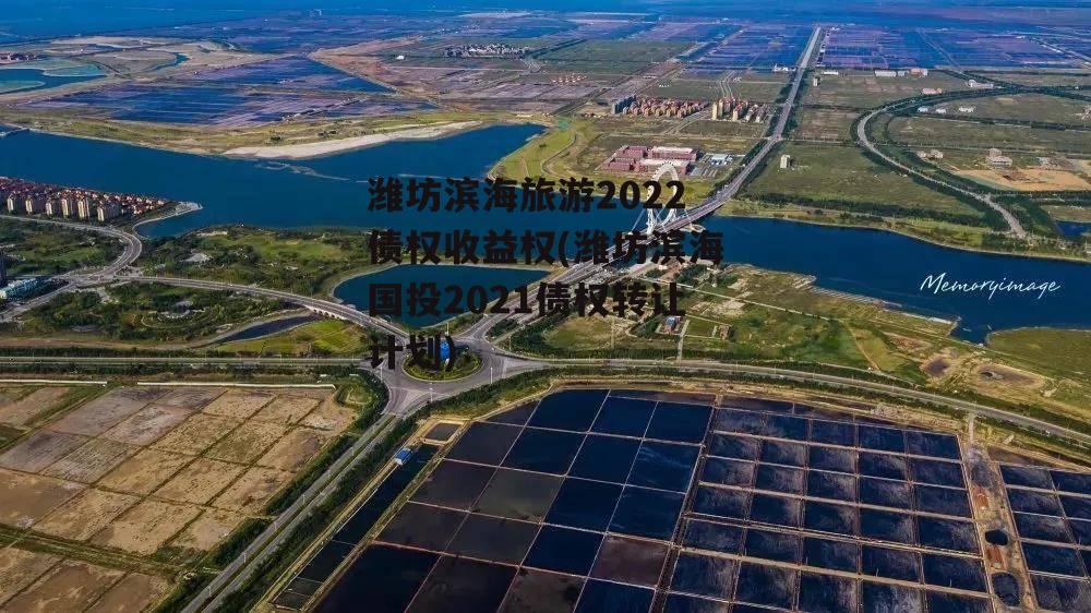 潍坊滨海旅游2022债权收益权(潍坊滨海国投2021债权转让计划)