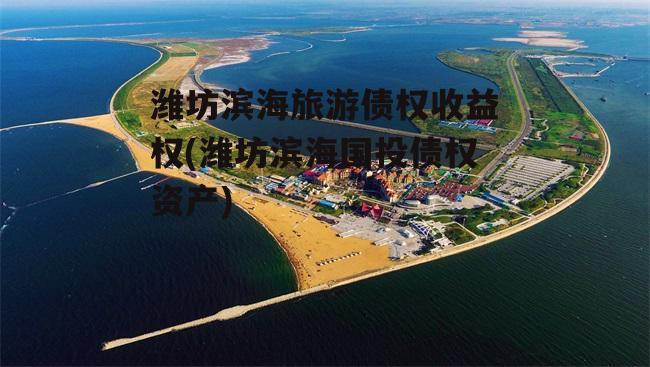 潍坊滨海旅游债权收益权(潍坊滨海国投债权资产)