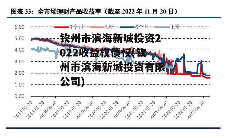 钦州市滨海新城投资2022收益权债权(钦州市滨海新城投资有限公司)