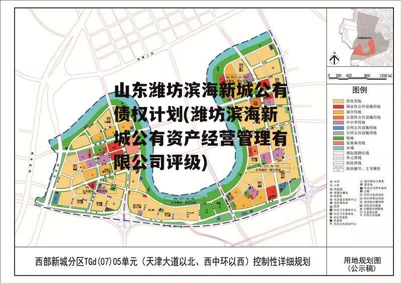 山东潍坊滨海新城公有债权计划(潍坊滨海新城公有资产经营管理有限公司评级)