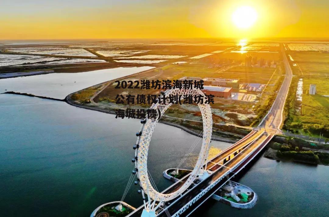 2022潍坊滨海新城公有债权计划(潍坊滨海城投债)