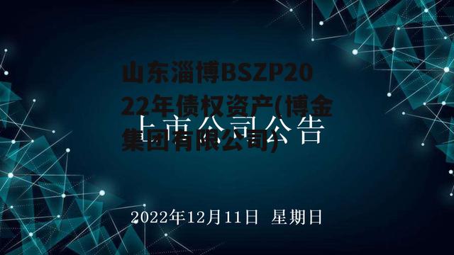 山东淄博BSZP2022年债权资产(博金集团有限公司)
