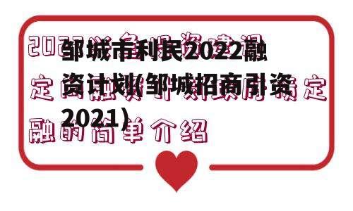 邹城市利民2022融资计划(邹城招商引资2021)
