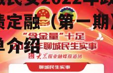 聊城民安2022年政府债定融（第一期）的简单介绍