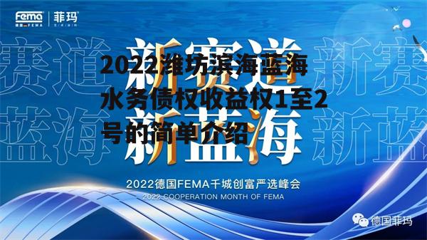 2022潍坊滨海蓝海水务债权收益权1至2号的简单介绍