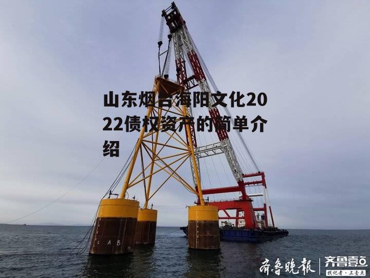 山东烟台海阳文化2022债权资产的简单介绍