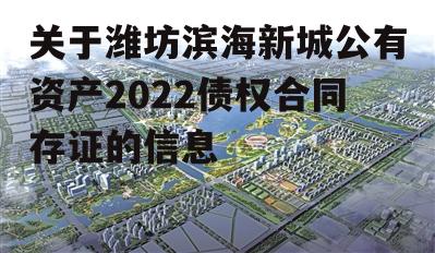 关于潍坊滨海新城公有资产2022债权合同存证的信息