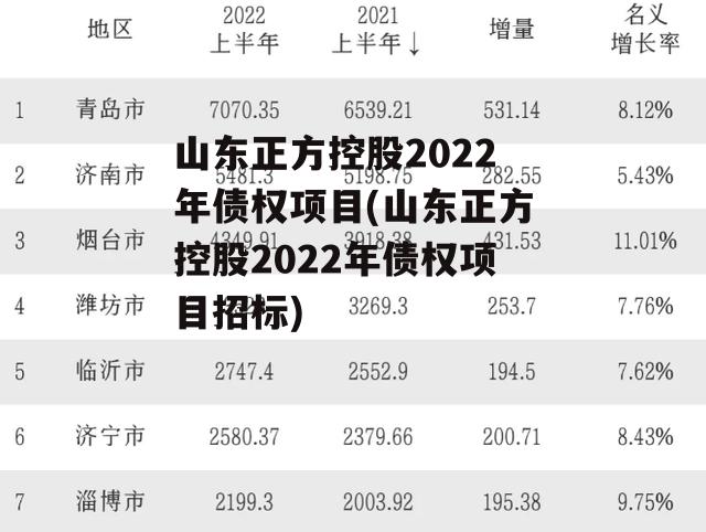 山东正方控股2022年债权项目(山东正方控股2022年债权项目招标)