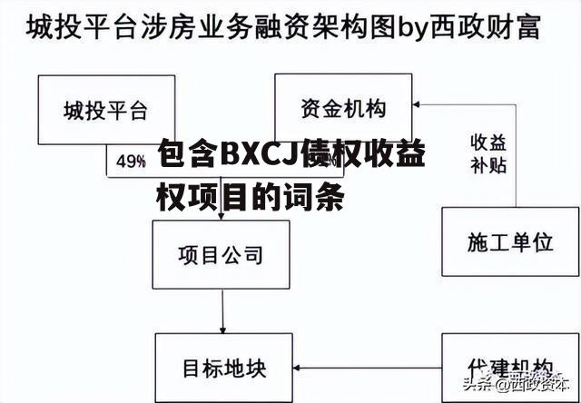 包含BXCJ债权收益权项目的词条