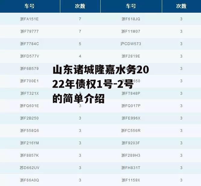 山东诸城隆嘉水务2022年债权1号-2号的简单介绍