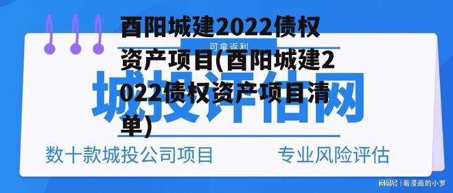 酉阳城建2022债权资产项目(酉阳城建2022债权资产项目清单)