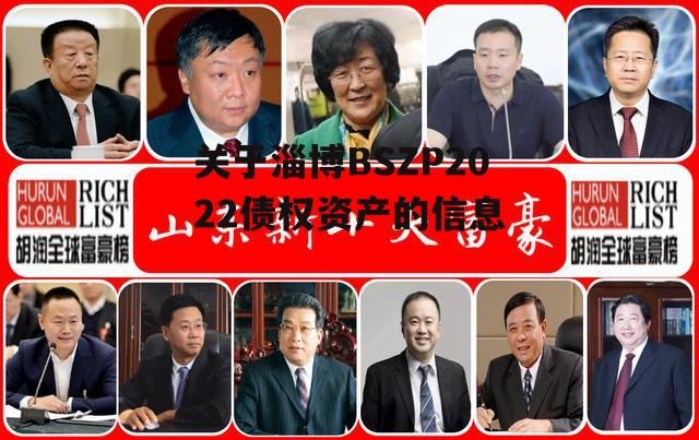 关于淄博BSZP2022债权资产的信息