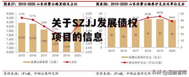 关于SZJJ发展债权项目的信息