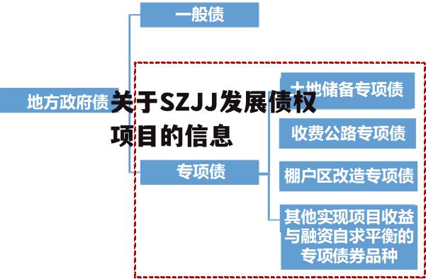 关于SZJJ发展债权项目的信息