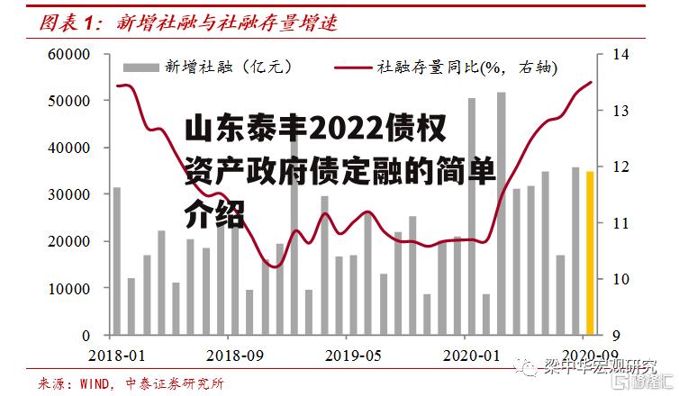 山东泰丰2022债权资产政府债定融的简单介绍