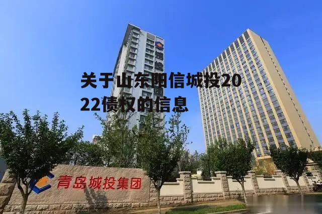 关于山东阳信城投2022债权的信息