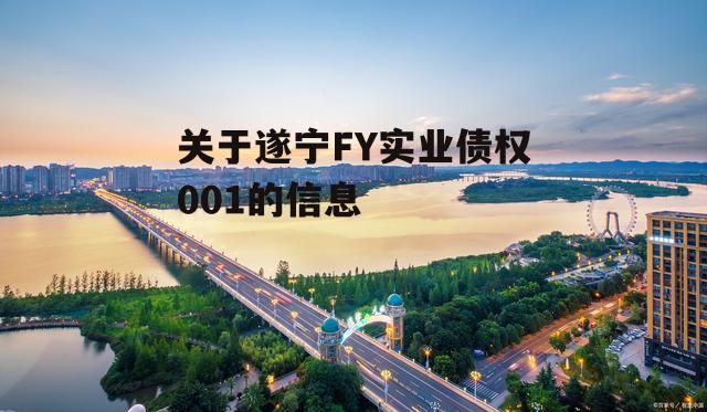 关于遂宁FY实业债权001的信息