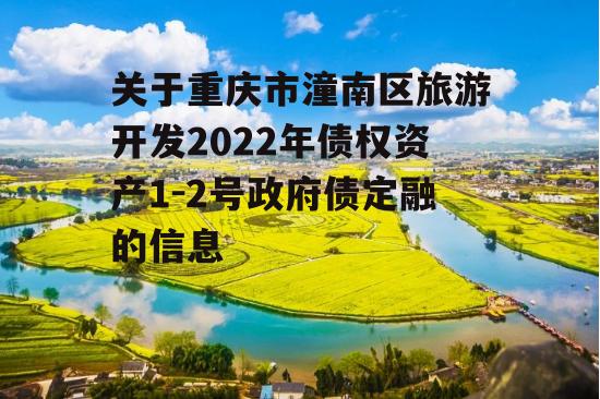 关于重庆市潼南区旅游开发2022年债权资产1-2号政府债定融的信息