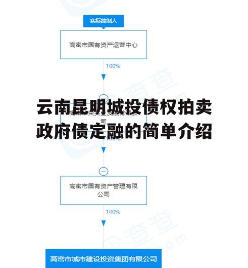 云南昆明城投债权拍卖政府债定融的简单介绍