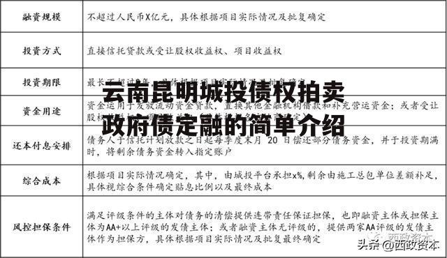 云南昆明城投债权拍卖政府债定融的简单介绍