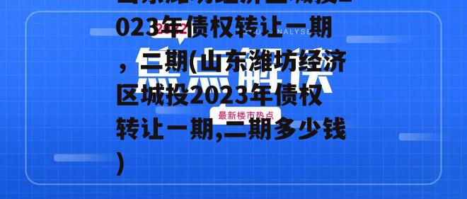 山东潍坊经济区城投2023年债权转让一期，二期(山东潍坊经济区城投2023年债权转让一期,二期多少钱)