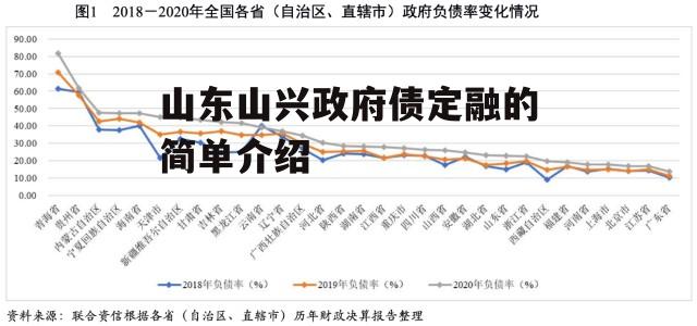 山东山兴政府债定融的简单介绍