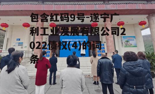 包含红码9号-遂宁广利工业发展有限公司2022债权(4)的词条
