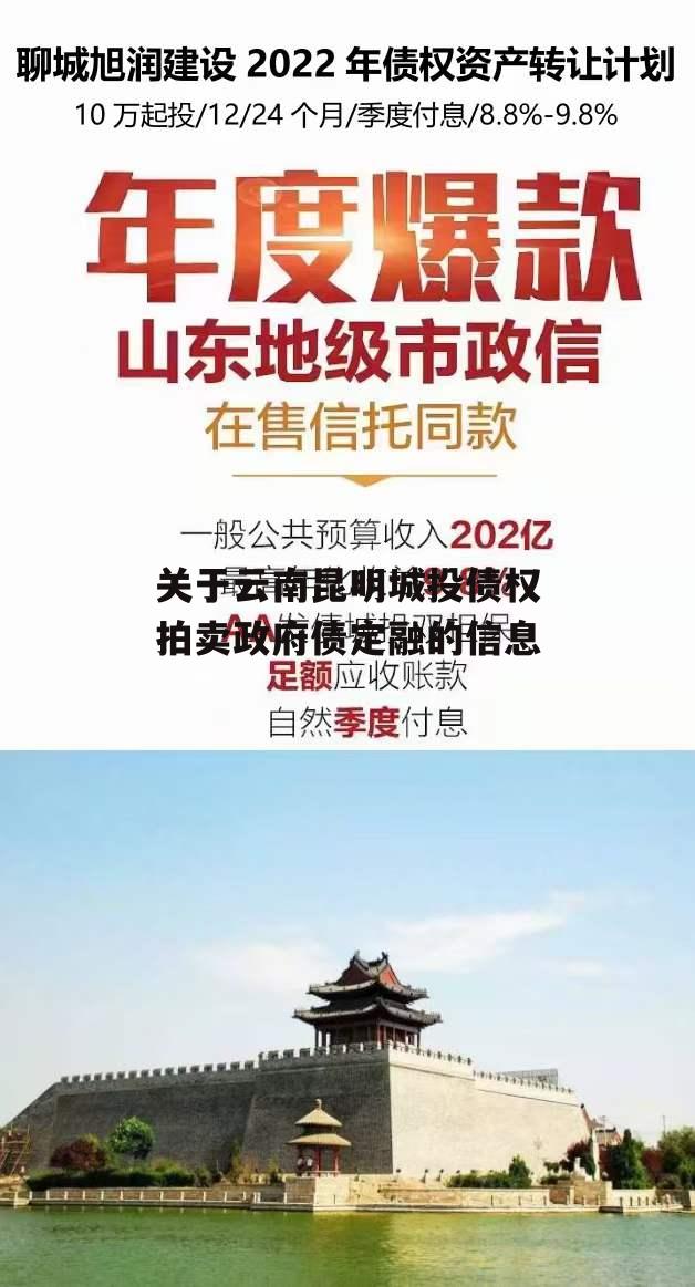 关于云南昆明城投债权拍卖政府债定融的信息