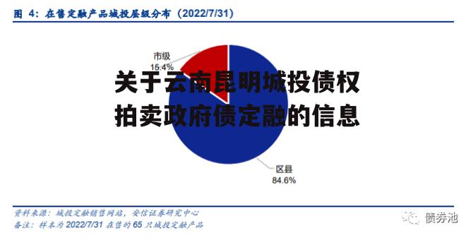 关于云南昆明城投债权拍卖政府债定融的信息