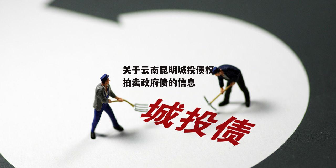 关于云南昆明城投债权拍卖政府债的信息