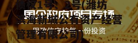 山东潍坊滨海新城城投债权1号、2号(潍坊滨海新城公有资产经营管理有限公司)