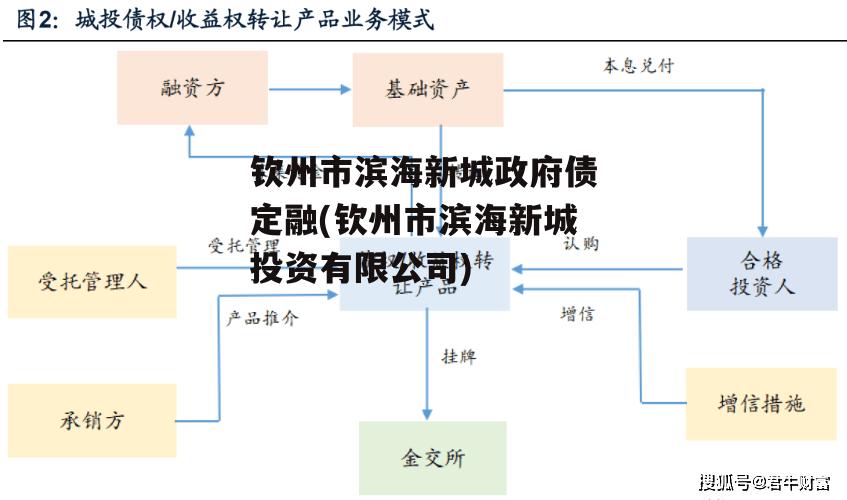 钦州市滨海新城政府债定融(钦州市滨海新城投资有限公司)