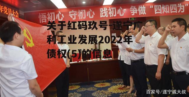 关于红码玖号-遂宁广利工业发展2022年债权(5)的信息