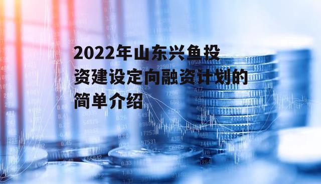 2022年山东兴鱼投资建设定向融资计划的简单介绍