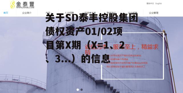 关于SD泰丰控股集团债权资产01/02项目第X期（X=1、2、3...）的信息