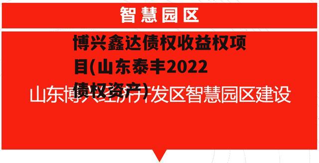 博兴鑫达债权收益权项目(山东泰丰2022债权资产)