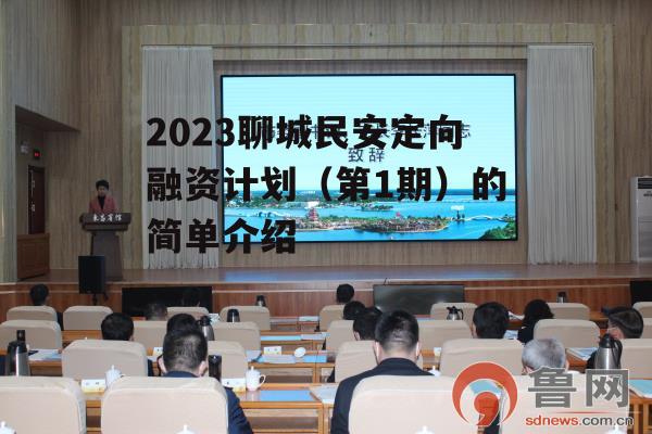 2023聊城民安定向融资计划（第1期）的简单介绍