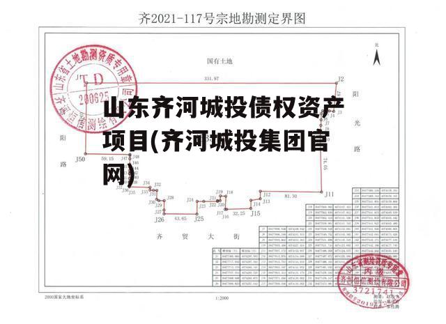 山东齐河城投债权资产项目(齐河城投集团官网)