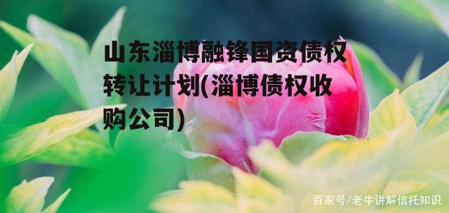 山东淄博融锋国资债权转让计划(淄博债权收购公司)